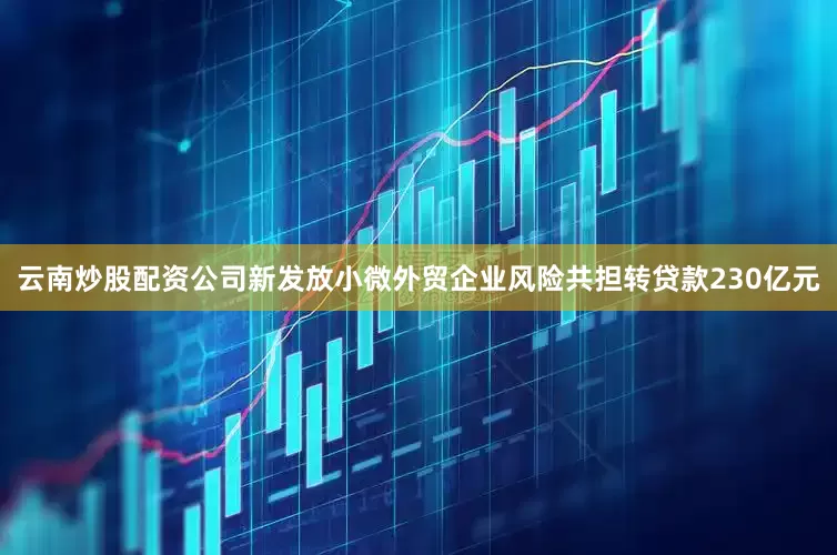 云南炒股配资公司新发放小微外贸企业风险共担转贷款230亿元