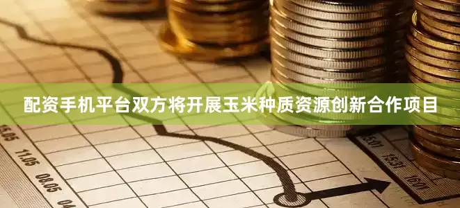 配资手机平台双方将开展玉米种质资源创新合作项目