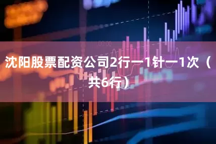 沈阳股票配资公司2行一1针一1次（共6行）