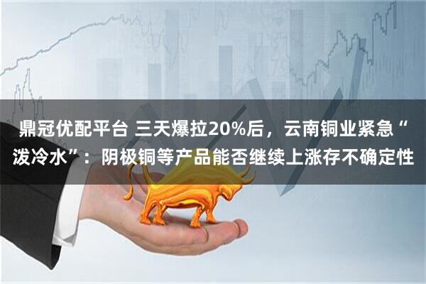 鼎冠优配平台 三天爆拉20%后,云南铜业紧急“泼冷水”:阴极铜等产品能否继续上涨存不确定性