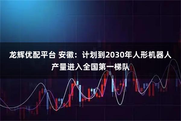 龙辉优配平台 安徽：计划到2030年人形机器人产量进入全国第一梯队