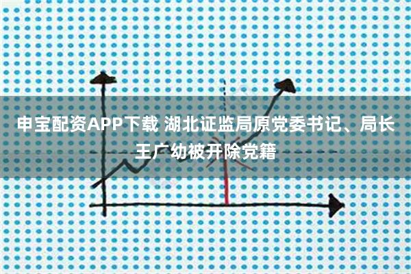 申宝配资APP下载 湖北证监局原党委书记、局长王广幼被开除党籍